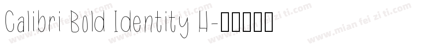 Calibri Bold Identity H字体转换